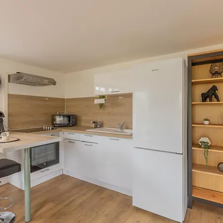 Apartment Proche Centre Metz